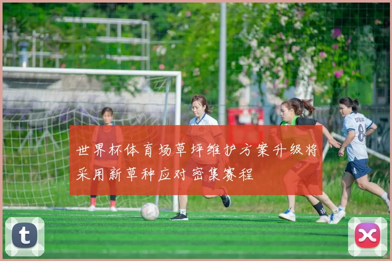 世界杯体育场草坪维护方案升级将采用新草种应对密集赛程
