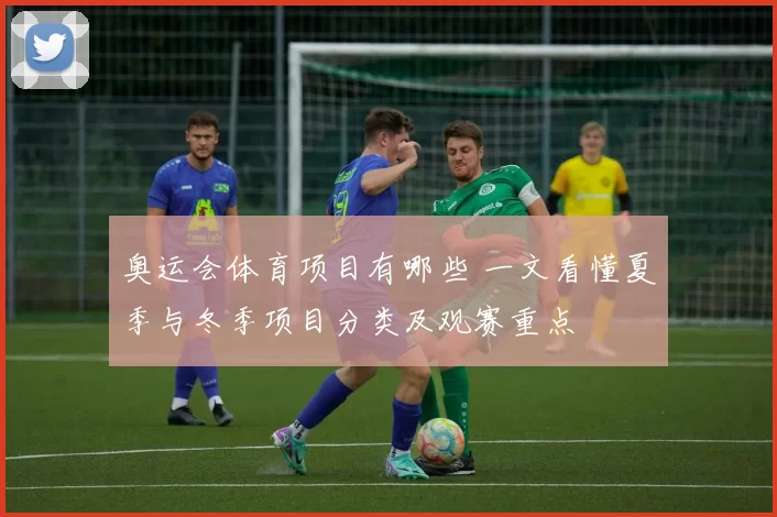 奥运会体育项目有哪些 一文看懂夏季与冬季项目分类及观赛重点