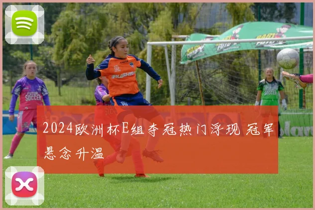 2024欧洲杯E组夺冠热门浮现 冠军悬念升温