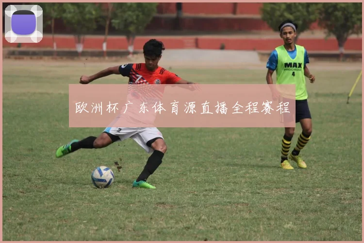 欧洲杯广东体育源直播全程赛程